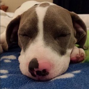 Meet your Posher, Erika